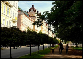 Apartment Hlavní